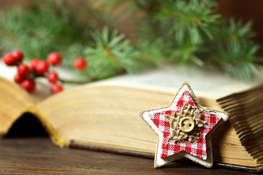 3 livres pour un Noël parfait ! - PCA CMB - Prépresse Nantaise